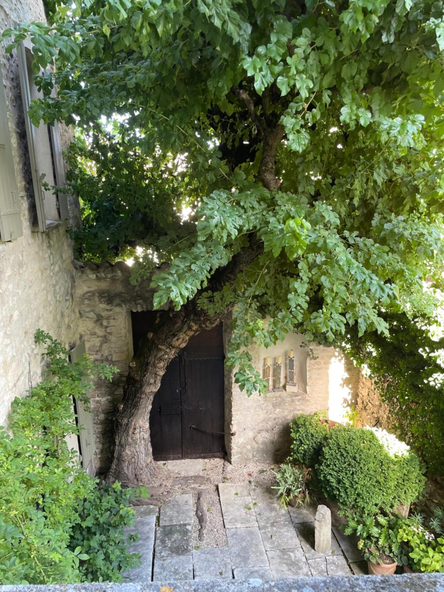 Le Murier Bed & Breakfast Vaison-la-Romaine Exterior photo